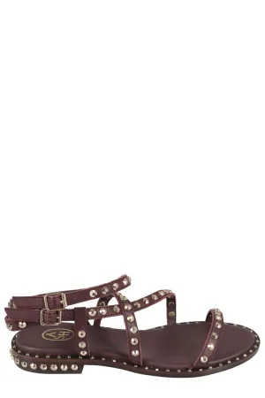 Ash Petra Studded Sandals
